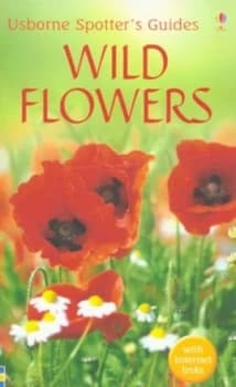 Wild Flowers by C. J Humphries and Hilary Burn and C. J Humphries Paperback