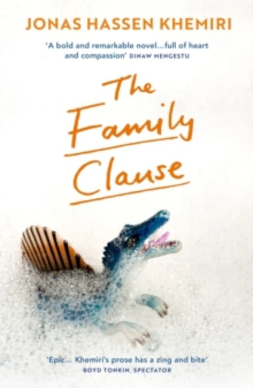 The Family Clause Paperback / softback