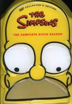 Simpsons: Season 6 - DVD - Used
