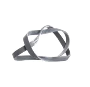 CONTITECH V-ribbed belt VW,FIAT,SKODA 5PK1219 55230394,55240004,1606348180 5750FQ,5750FR,5750VK,55240004,55240004,MN176569,1606348180,5750FQ,5750VK