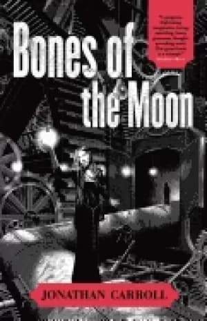 bones of the moon