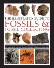 Fossils & Fossil Collecting, The Illustrated Guide to : A reference guide to over 375 plant and animal fossils from around the globe and how to identi