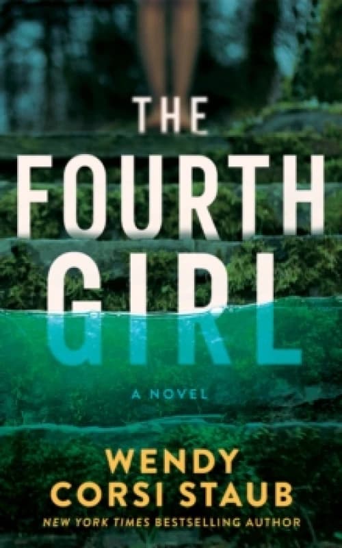 The Fourth Girl : A Novel Paperback / softback