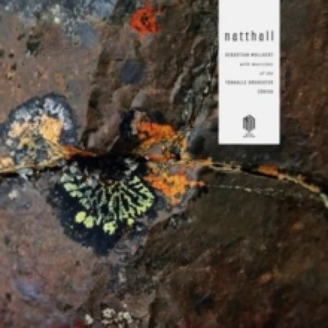 Sebastian Mullaert: Natthall Vinyl
