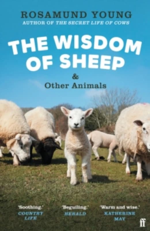 The Wisdom of Sheep & Other Animals. Paperback. By Rosamund Young Books