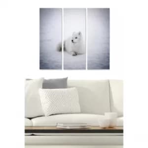 MDF2126989 Multicolor Decorative MDF Painting (3 Pieces)