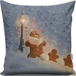 A13024 Multicolor Cushion