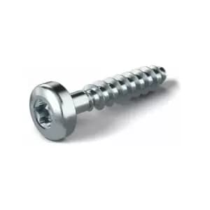 Fibox PT60x11 PH3 BAG (4) set Screws