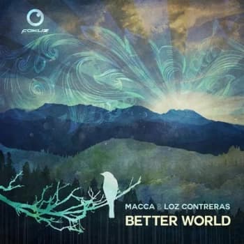 Better World LP by Macca & Los Contreras CD Album