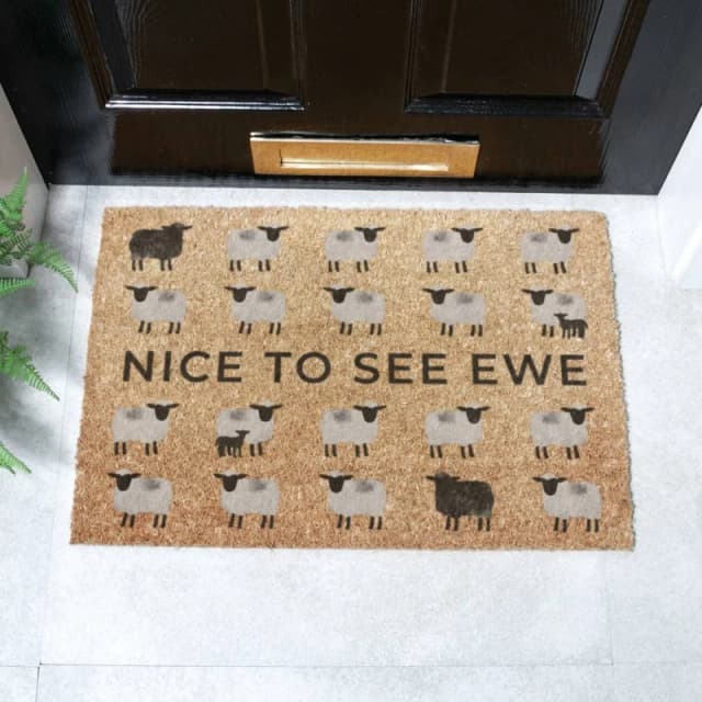 Artsy Mats Nice To See Ewe Sheep Doormat (60 x 40cm) in Brown Size: 40cm x 60cm Brown Unisex 40cm x 60 cm