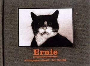 Ernie by Tony Mendoza Book