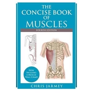 The Concise Book of Muscles Fourth Edition Paperback / softback 2018