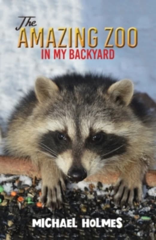 The Amazing Zoo in My Backyard Paperback / softback