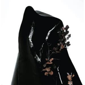 Process Of Guilt - Black Earth Vinyl