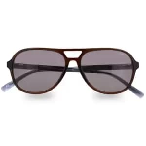 Hackett 3341 S/gls 99 - Brown