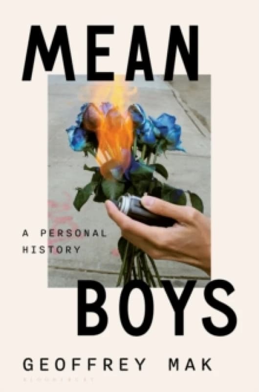 Mean Boys : A Personal History Hardback