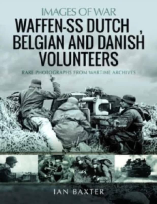 Waffen-SS Dutch & Belgian Volunteers Paperback / softback
