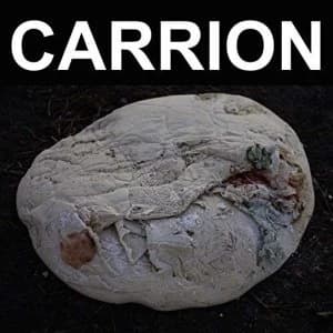 Recitation - Carrion Vinyl
