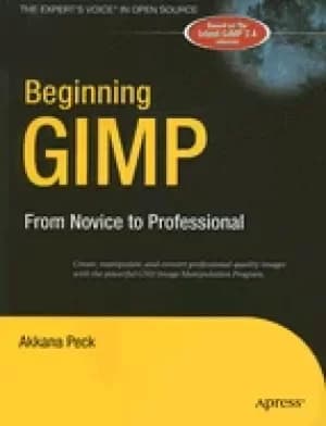beginning gimp from novice to professional