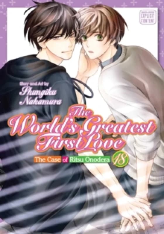 The World's Greatest First Love, Vol. 18 : The Case of Ritsu Onodera Paperback / softback