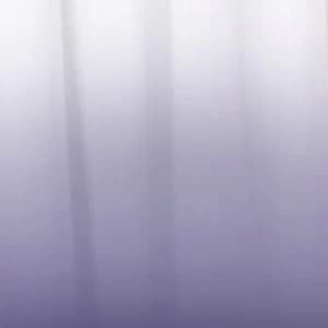 Sabichi Ombre Polyester Shower Curtain with 12 Shower Hooks