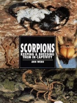 Scorpions by Ann Webb Paperback