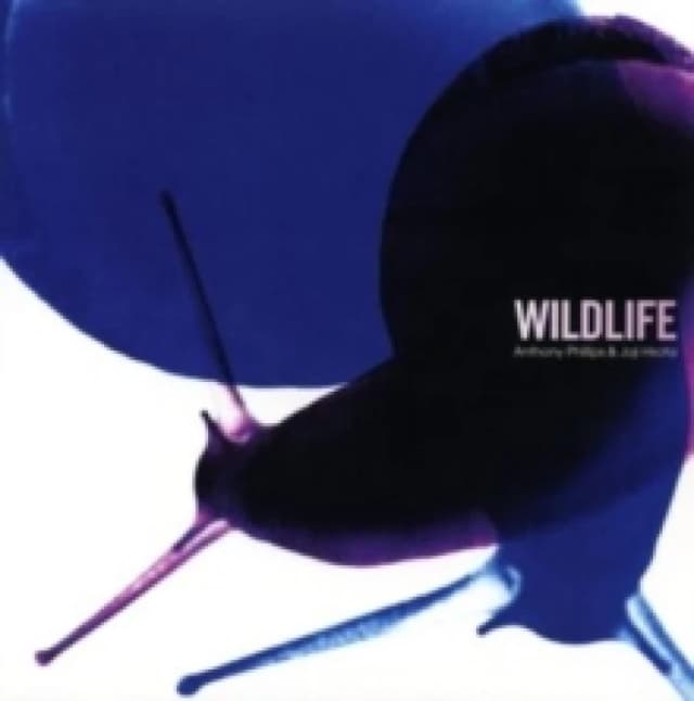 Wildlife (Expanded Edition) CD / Album Digipak