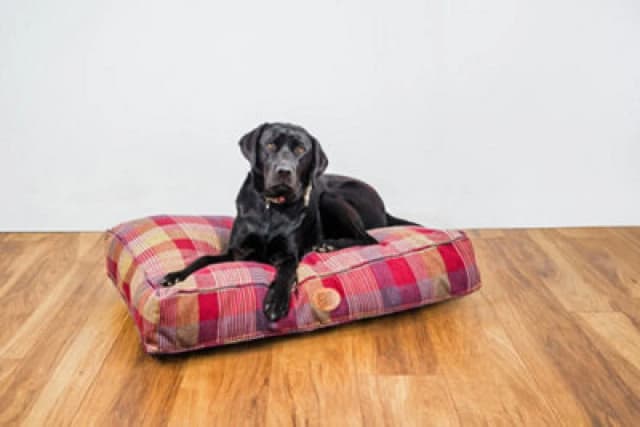 Snug & Cosy Pets Snug And Cosy Pets Highland Mulberry Dog Bed Bed Bedding Lounger Cushion Medium 90Cm X 60Cm