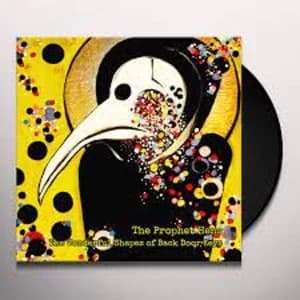 The Prophet Hens - The Wonderful Shapes Of Back Door Keys Vinyl