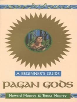 Pagan Gods by Teresa Moorey Paperback