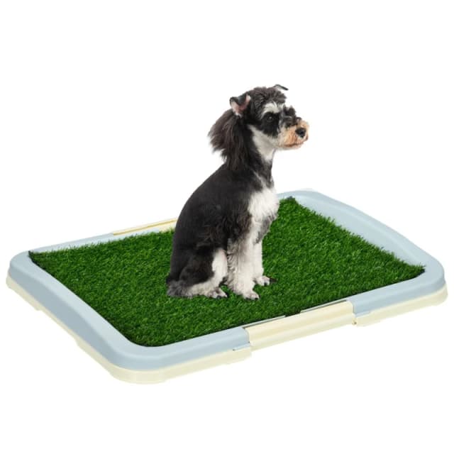 PawHut Dog Toilet Indoor w/ Artificial Grass, 63 x 48.5cm, Green D07-045V01LB