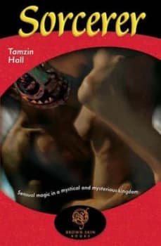 The Sorcerer by Tamzin Hall Book