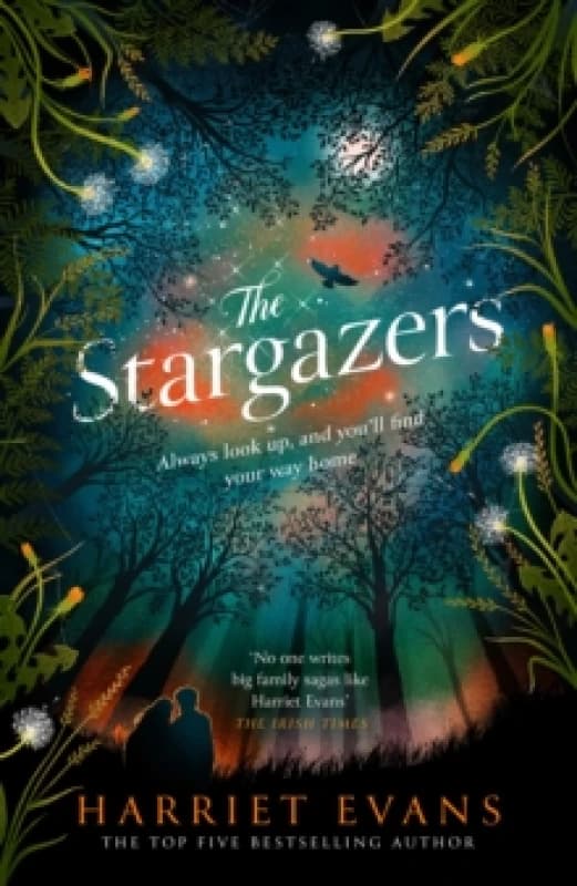The Stargazers : A captivating, magical love story with a breathtaking twist Hardback