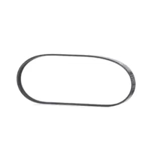 RIDEX V-ribbed belt 305P0441 Serpentine belt,Auxiliary belt VW,HYUNDAI,TOYOTA,TARO,GETZ (TB),TERRACAN (HP),ACCENT I (X-3),ACCENT Stufenheck (X-3)