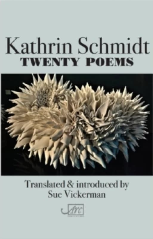Twenty Poems Paperback / softback