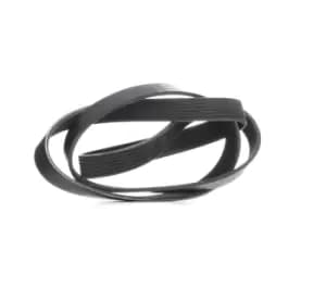 RIDEX V-ribbed belt BMW,NISSAN,MAZDA 305P0307 11281736986,11281742012,ERR3287 KJ0118381A
