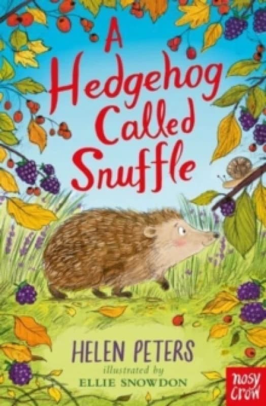 A Hedgehog Called Snuffle Paperback / softback