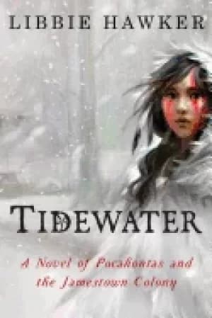 tidewater a novel