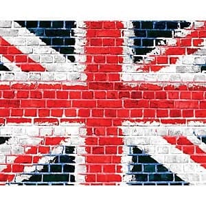 ohpopsi Union Brick Wall Mural Multi 19.6m XL