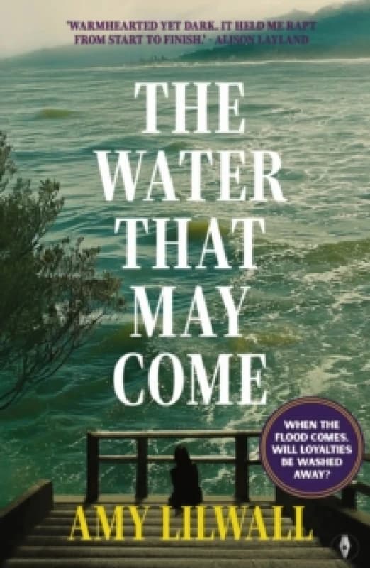 The Water That May Come Paperback / softback