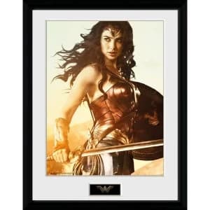 Wonder Woman Sword Collector Print