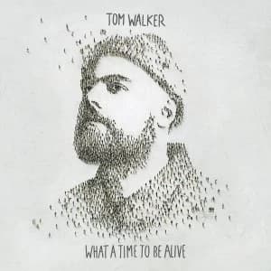 Tom Walker - What A Time To Be Alive Vinyl