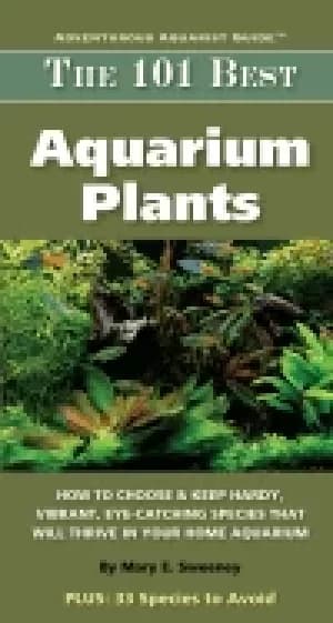 101 best aquarium plants how to choose hardy vibrant eye catching species t
