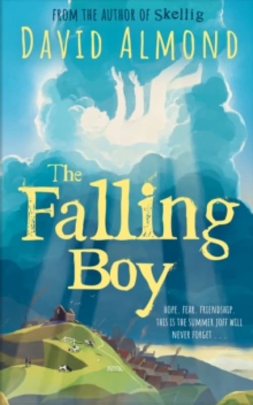 The Falling Boy Paperback / softback