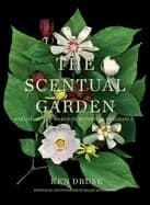 scentual garden exploring the world of botanical fragrance