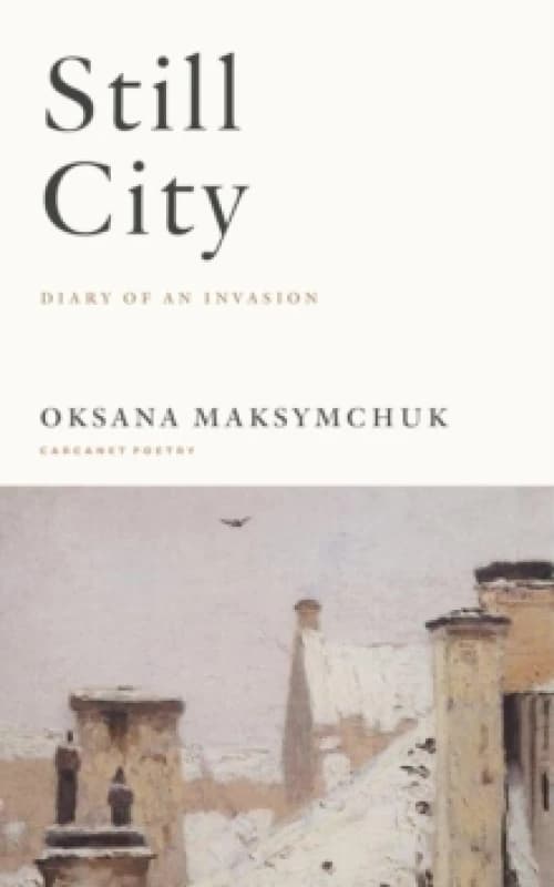 Still City : A Diary of an Invasion Paperback / softback