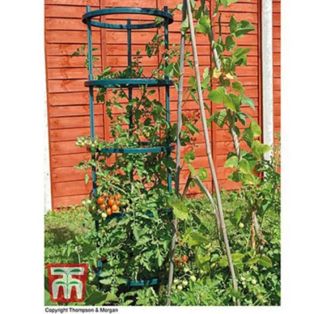 Garden Gear Tomato Growing Supports Plant Frame X3