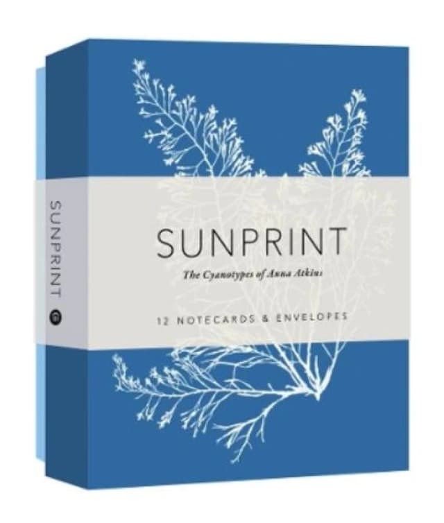 Sunprint Notecards : The Cyanotypes of Anna Atkins Cards