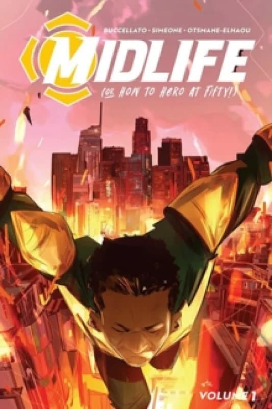 Midlife Paperback / softback