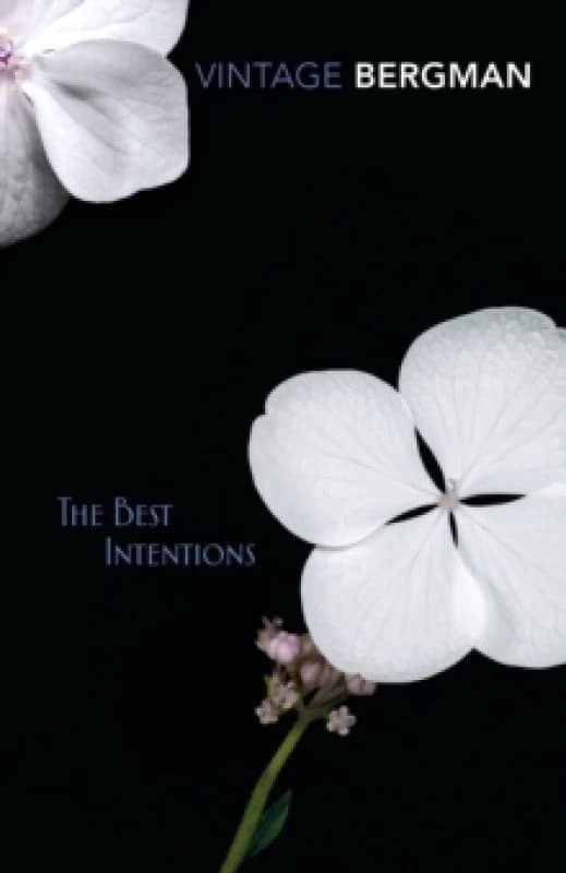 The Best Intentions Paperback / softback